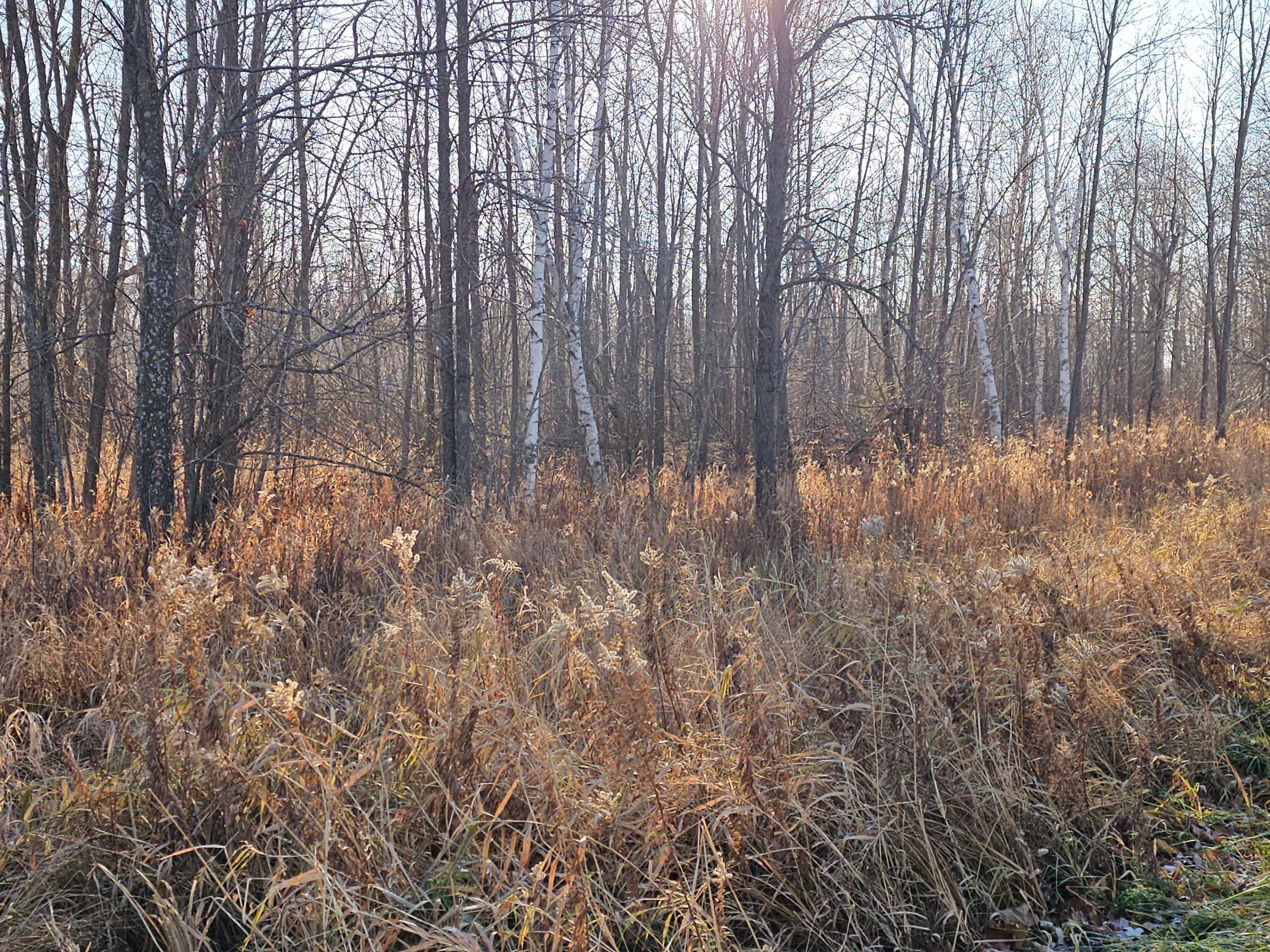 Image 4 Image 4
