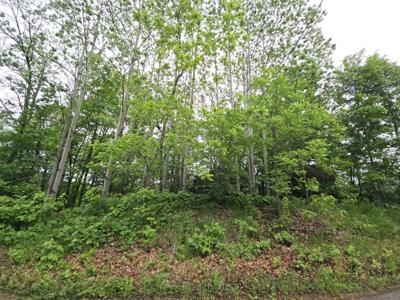 9492 N Shore Trail N