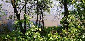 TBD River Vista Dr