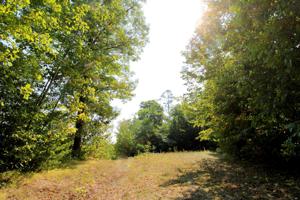 L13, B3 387th