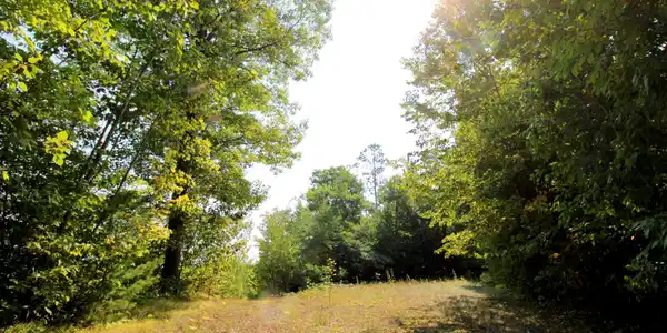 L13, B3 387th