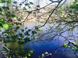 XXXXX Riverside