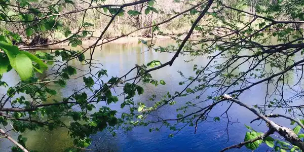 XXXXX Riverside