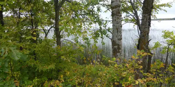 Xxx Stalker Lake Road