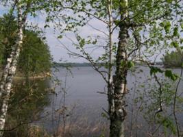TBD Moosehaven Drive