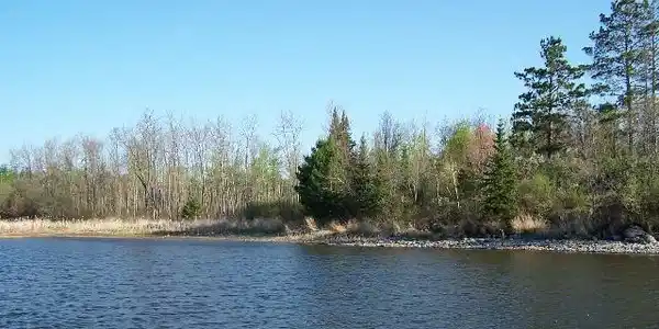 xxxx Timberwolf Trail
