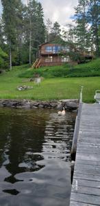 9161 Hibbing Point