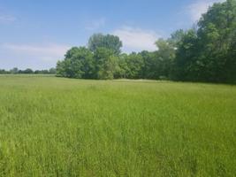 12000 Cattle Lane Road N