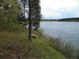 Lot 14 Great Deer Drive