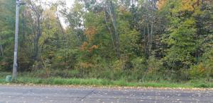 XXX Earle Brown Drive