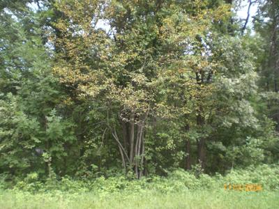 TBD N Lakeview Drive