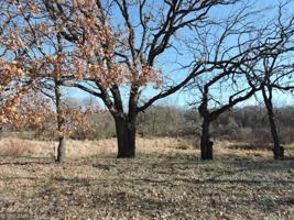 Lot 7, Blk 2 119th Avenue SE