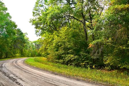 Lot 16 Block 2 olaf trail