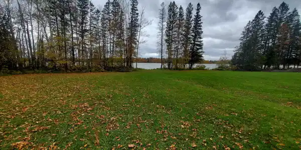 42521 Nature