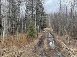 TBD Heritage Trail