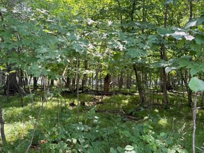 TBD Breezy Point Boulevard