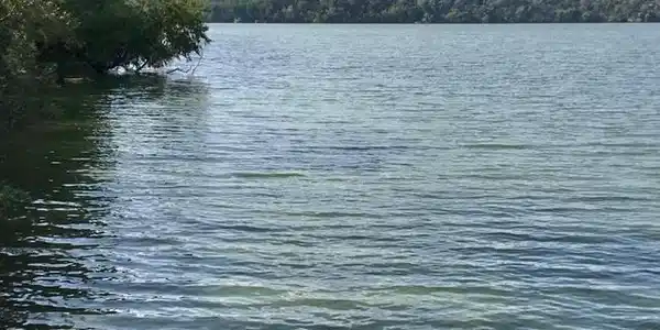 6 W Wilmert Lake Drive