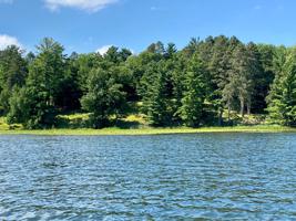 12253 Whitefish Avenue (White Cabin)