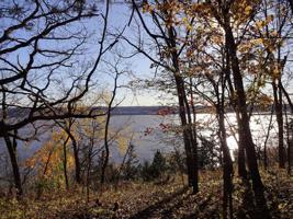 Lot 1 96th Avenue