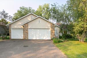 916 Pine Tree