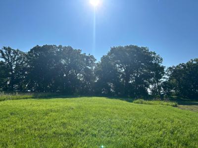 Lot 7 Hummingbird Way SW
