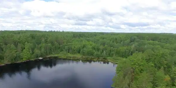 4xx3 Genore