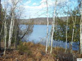 TBD HATCH LAKE RD