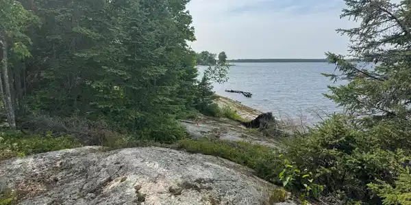 Image 3 Image 3
