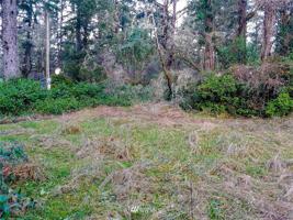 376 Eridani Loop SE