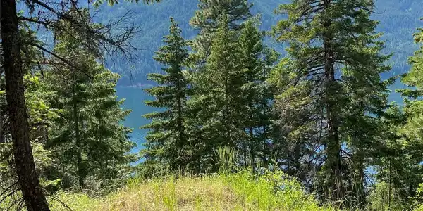 5 Newport Creek
