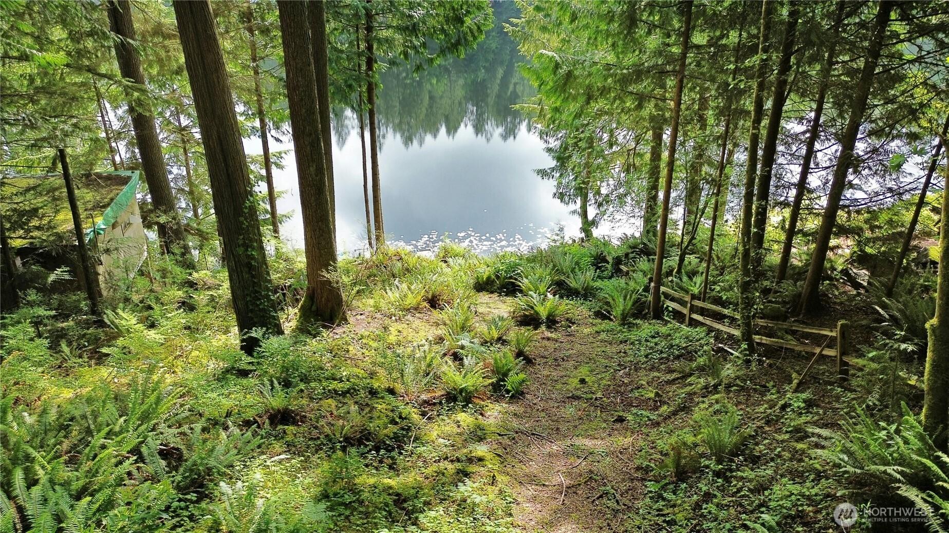 Image 3 Image 3