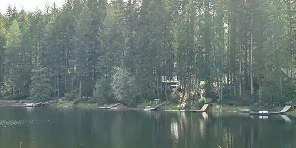 1131 Collins Lake