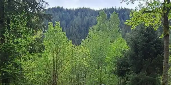 Image 2 Image 2
