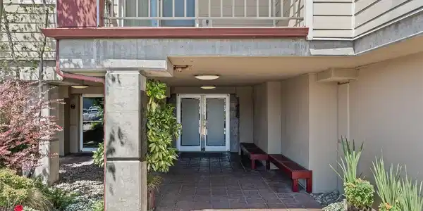 Image 4 Image 4
