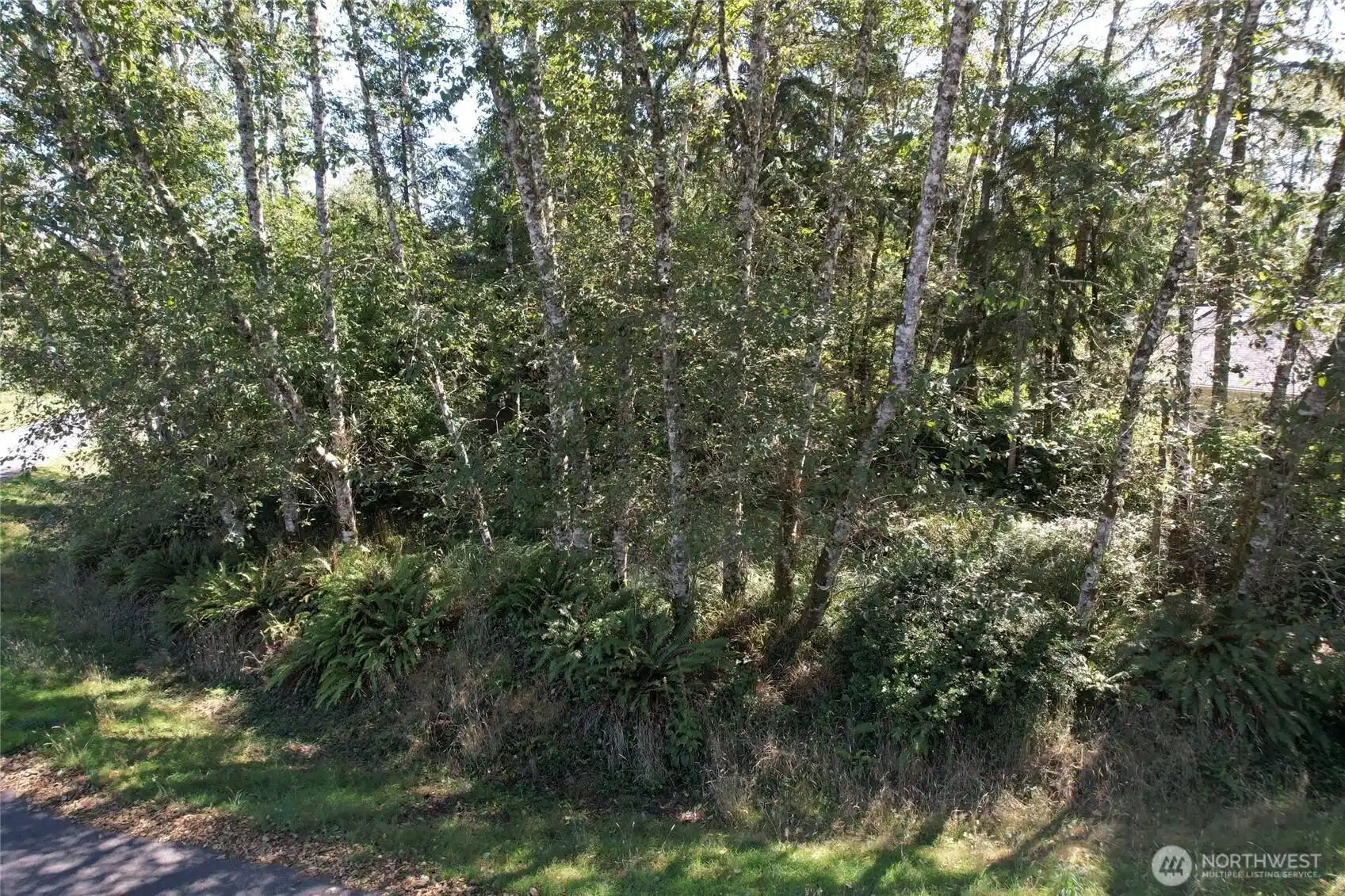 Image 1 Image 1