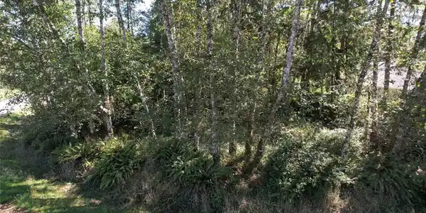 768 Sandpiper SE