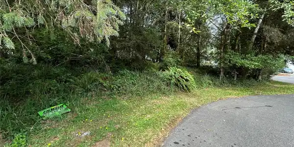 Image 4 Image 4