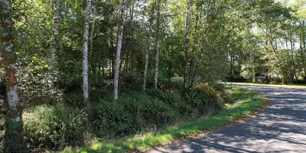 Image 3 Image 3