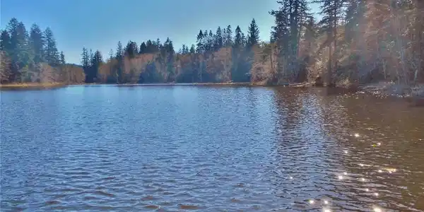 999 Rice Lake