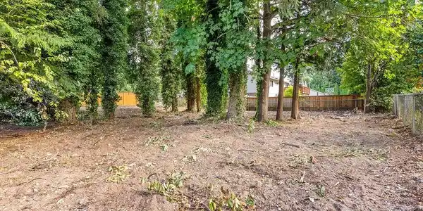 Image 4 Image 4