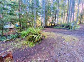 91 Quinault Place