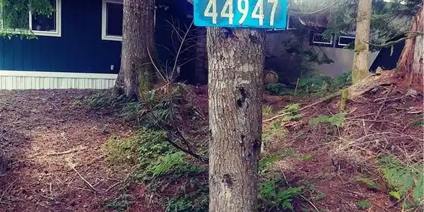 Kyuquot Trail