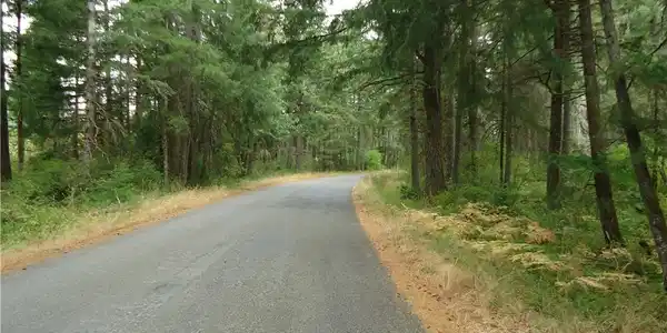 0 Mikkelsen