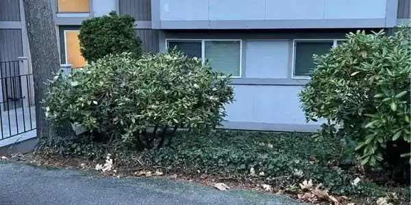 4601 320th