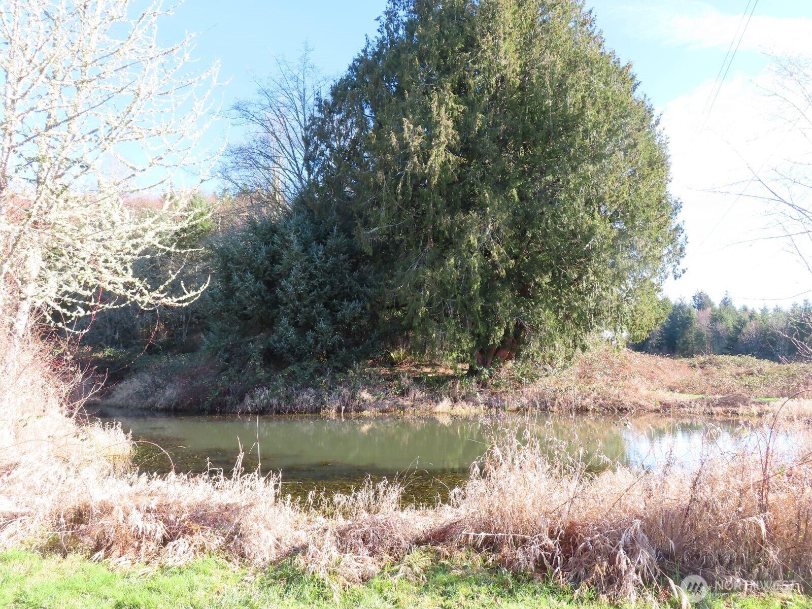 Image 2 Image 2
