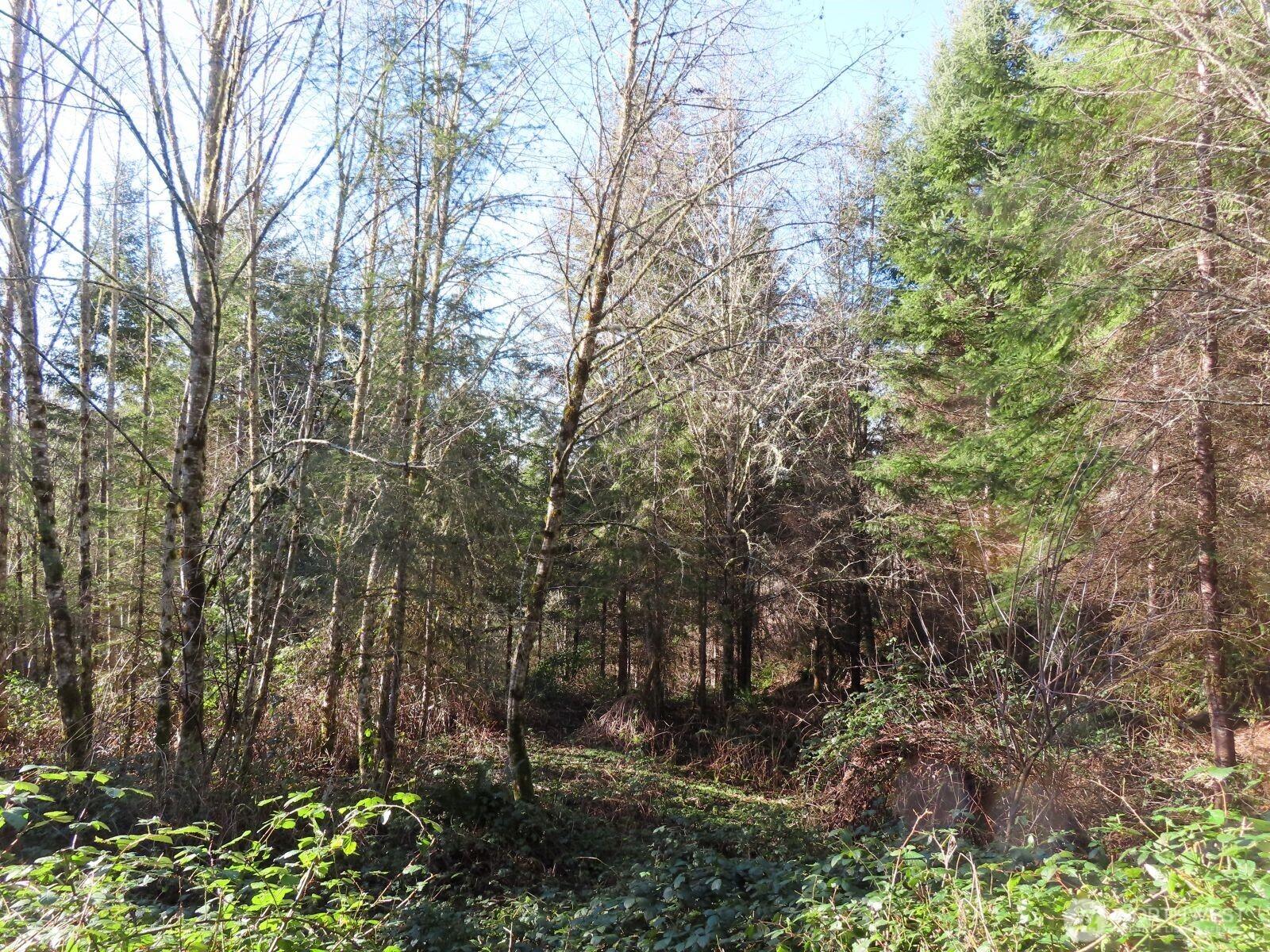Image 3 Image 3