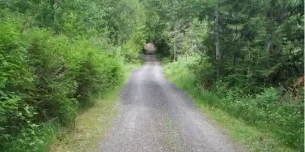 Image 4 Image 4
