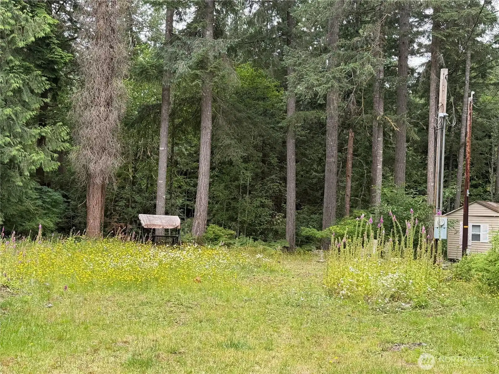 Image 1 Image 1
