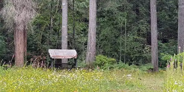 Image 2 Image 2
