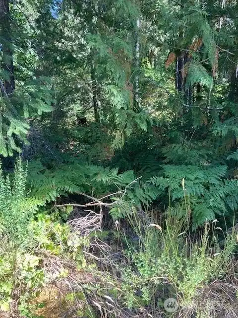 Image 1 Image 1